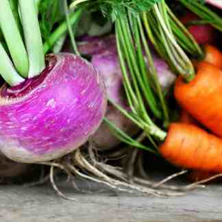 Alaska Food Security 20 Cold-Hardy Crops for Self-Reliance