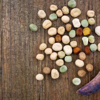 Shop Seeds