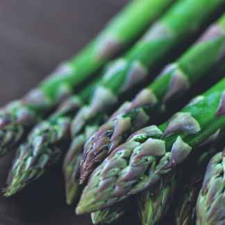 Seed Starting Class Seed Included: Winter Session Online