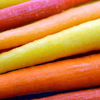 Rainbow Carrot Seed (Daucus carota)