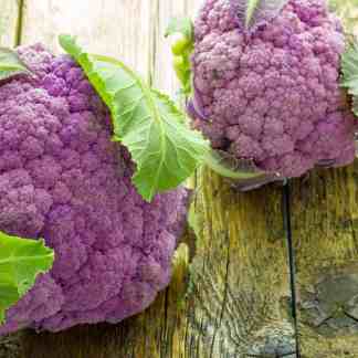 Cauliflower Seed Blend