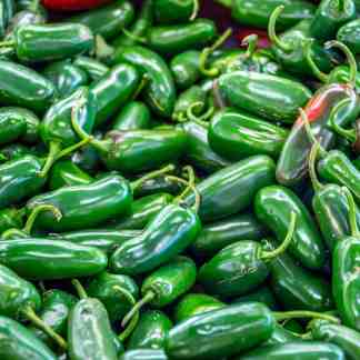 Pepper Gardening Masterclass