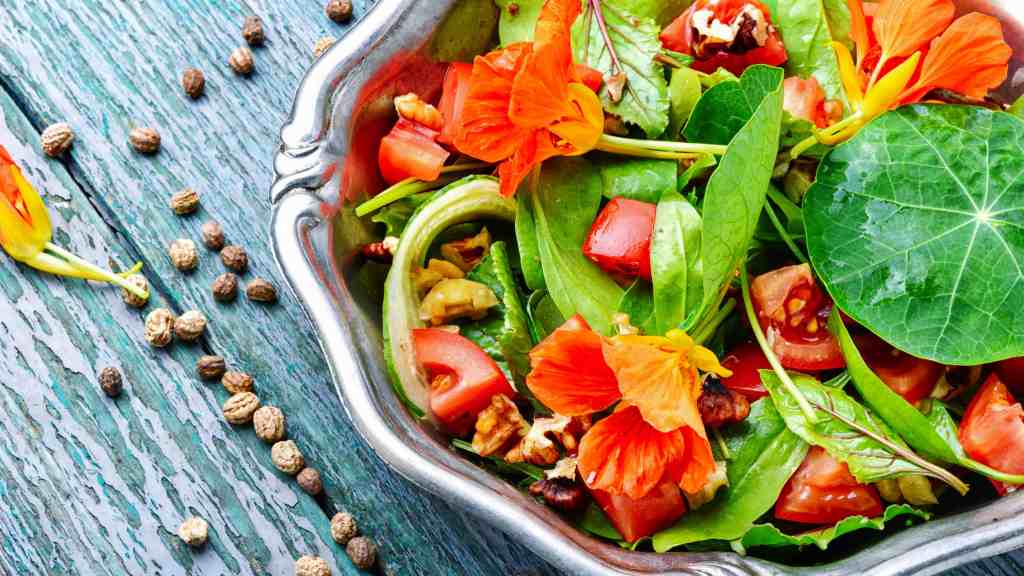 Edible Flower Seed Bundle Seeds and Soil Farm