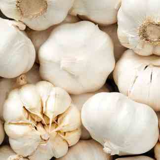 The Alaska Gardener Online Course Grow Food Year-Round in Northern Climates