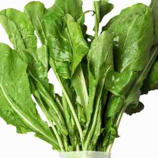 Wasabi Arugula Seed (Diplotaxis erucoides)