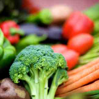 Free Garden Planner (Printable)