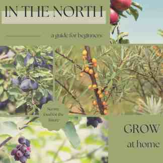 Free Food Forests in the North E-Guide