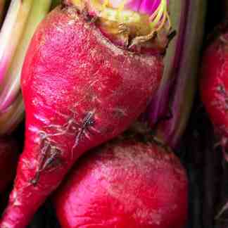 Spring Direct Sow Seed Bundle