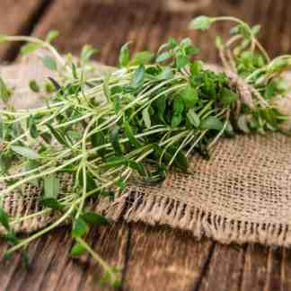 Thyme Seed
