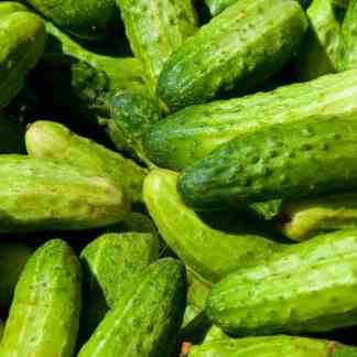 Seed Starting Class Seeds Included Spring Session Online