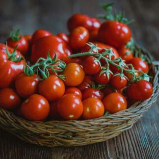 Annarita Winter Tomato Italian Pomodoro d’Inverno (Solanum lycopersicum)