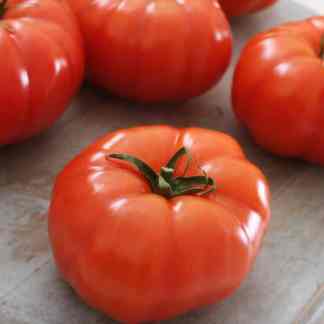 Mortgage Lifter Tomato