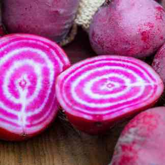 Beet Seed Blend (Beta vulgaris ssp. Cicla)