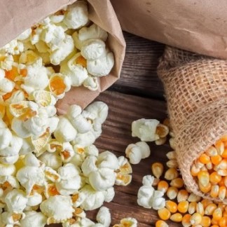 Popcorn Seed Tom Thumb (Zea mays) Corn that grows outside in Alaska without plastic