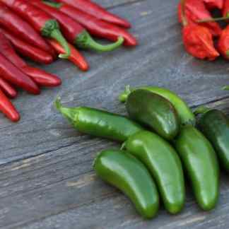Close-up of red Cayenne and green Jalapeño peppers included in our hot pepper seed blend from Seeds and Soil Farm.